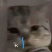 淦你又怎么了嘛