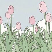 是阿菠萝呀