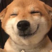 狗头200903