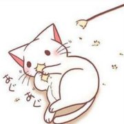 每天都想咸鱼的猫