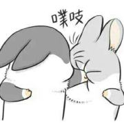 Totti永存我心