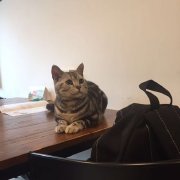 韩蹭蹭和小仙女