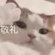 白白白白白33