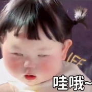 西北小芙