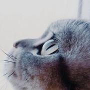 修为不够颜值