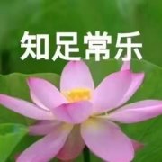 桃木29708