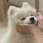 一起逃命_11