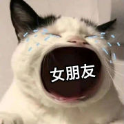 小强人200611