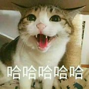 蔡caiCry