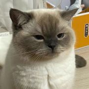 李温柔哈哈