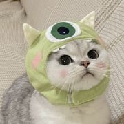 头发又睡乱了