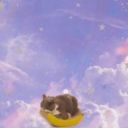 双层吉士蛋猪柳蛋安格斯