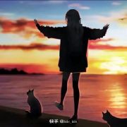 衾烟雾霾