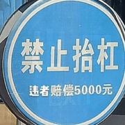 一枚胚胎