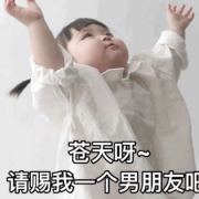 整天白日梦z