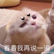 羹拔拔