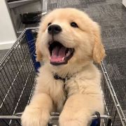 是个长不大的小小孩