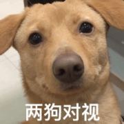 我又回来了666