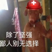 洋慢52940