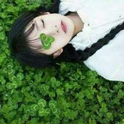 四叶草青春