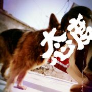 射手座forget_2008