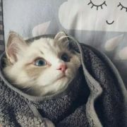 爱雪雪真是太好了呀