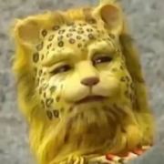 我想有只猫233