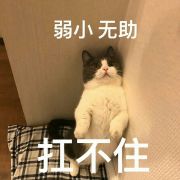 咖啡味的牛奶磊酱