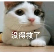 暂时先不取名吧