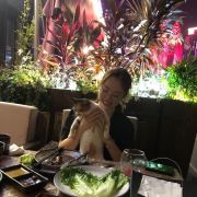 旅行走失的-猫