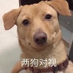 赤焰狂魔大老王