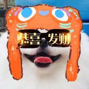 我是龚得起II