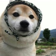 杨祎祎祎祎祎祎祎