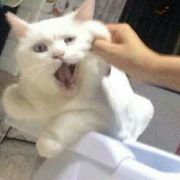 苏情儿一直在