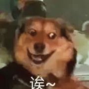 爆炸的番茄