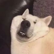 我是你王表哥