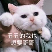 大大大大猪蹄子a