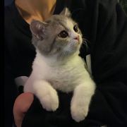 满蹊-