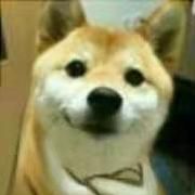 落风残