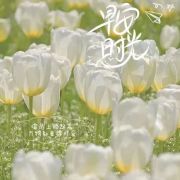 425冲不过四级不改名