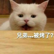 这家伙有点懒什么也没留下