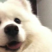 来杯混合可乐吧