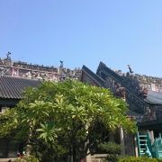 葡萄宝贝贝