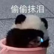 golden权89957