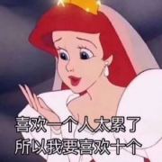 大白奶兔糖x