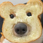 是阿森啊丶