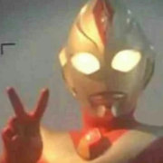 5566是只猪