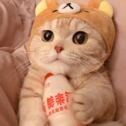 杀马猴和汤婆子