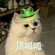 中年养生可行
