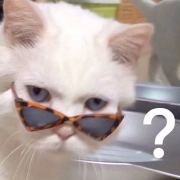-我差不多是只废柴